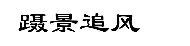 蹑景追风