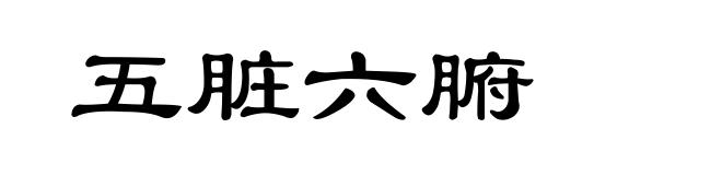 五脏六腑