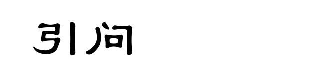 引问