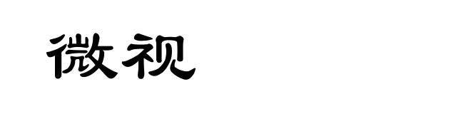 微视