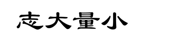 志大量小