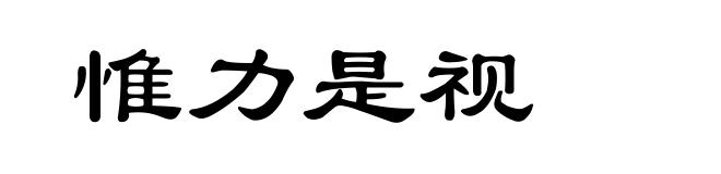 惟力是视