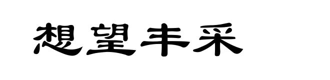 想望丰采