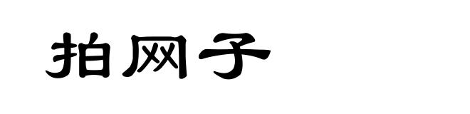 拍网子