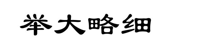 举大略细