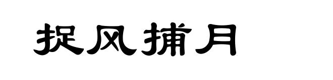捉风捕月