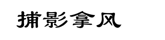 捕影拿风