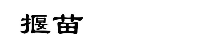 揠苗
