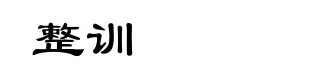 整训