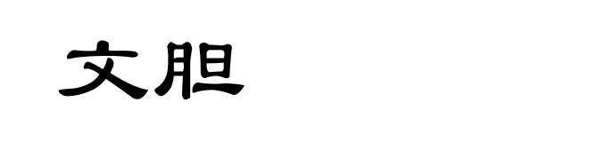 文胆