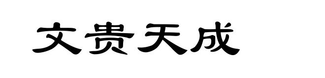 文贵天成