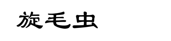 旋毛虫