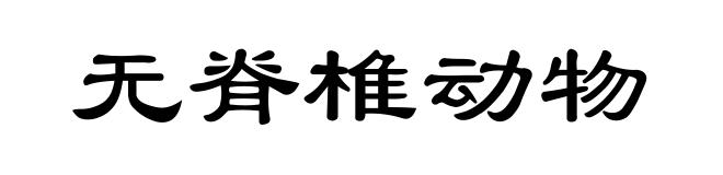 无脊椎动物