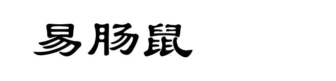 易肠鼠