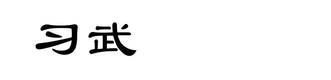 习武