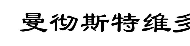 曼彻斯特维多利亚大学