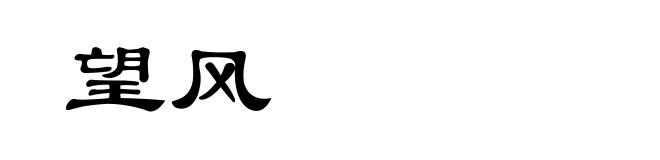 望风