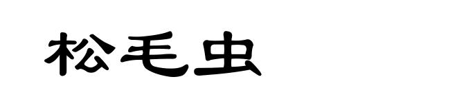 松毛虫