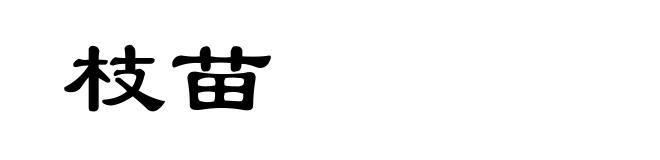 枝苗