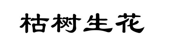 枯树生花
