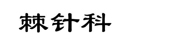 棘针科