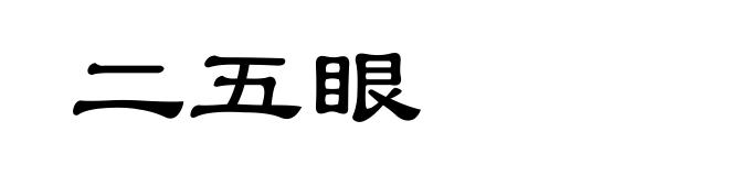 二五眼