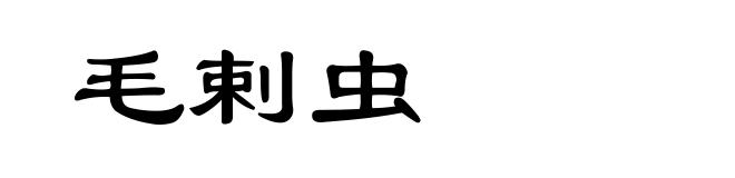 毛剌虫