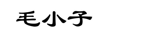 毛小子