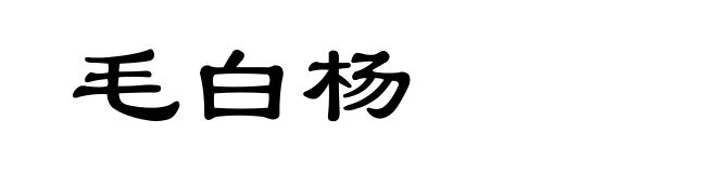 毛白杨