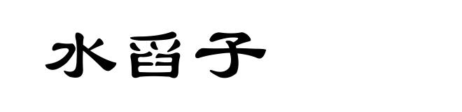 水舀子
