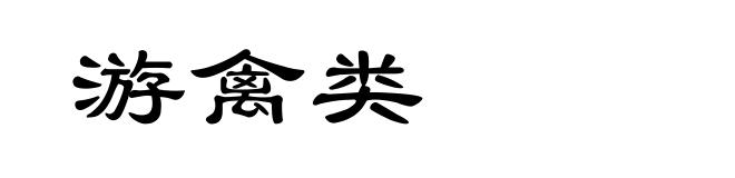 游禽类