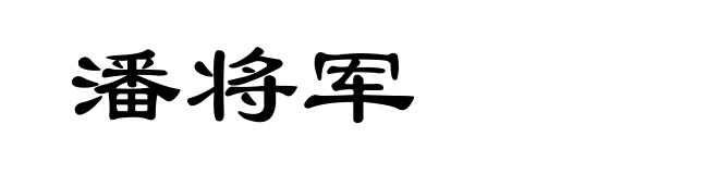 潘将军
