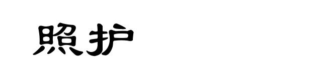 照护
