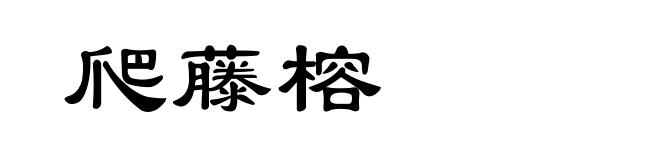 爬藤榕
