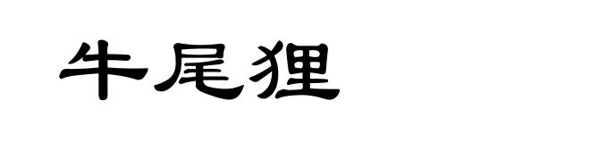 牛尾狸