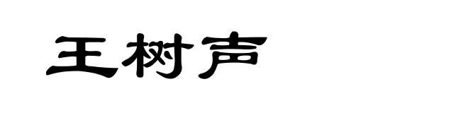 王树声