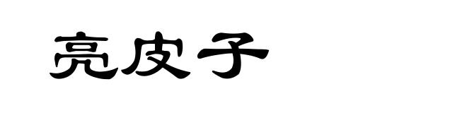 亮皮子