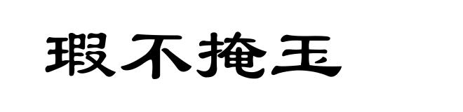 瑕不掩玉
