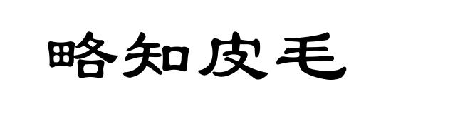 略知皮毛