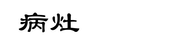 病灶
