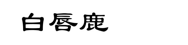 白唇鹿