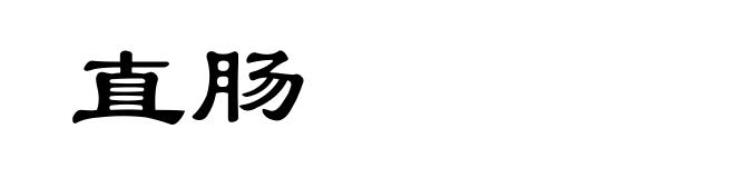 直肠