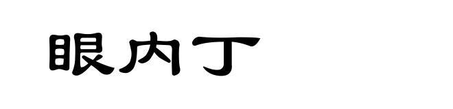 眼内丁