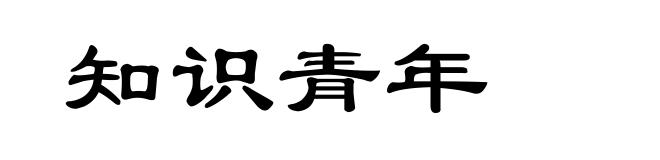 知识青年