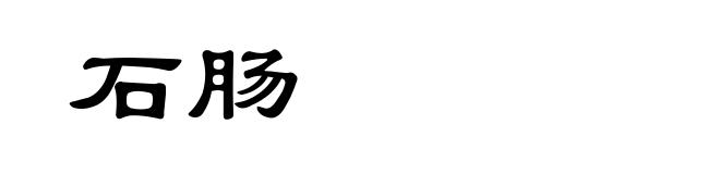 石肠