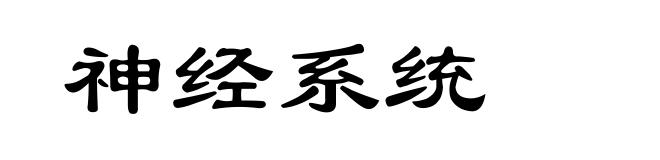 神经系统