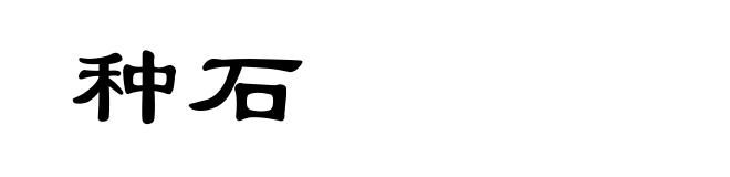 种石