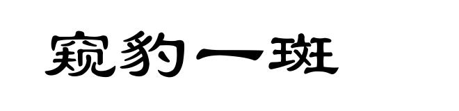 窥豹一斑