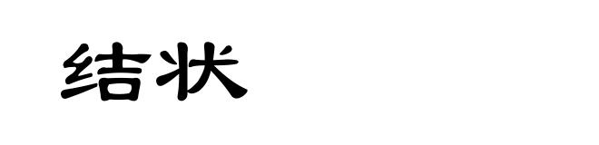 结状