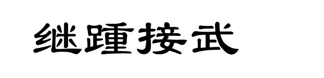 继踵接武